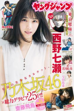 锦绣安宁电视剧